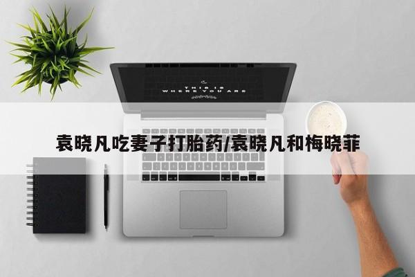 怀孕可以自己买药流吗袁晓凡吃妻子打胎药/袁晓凡和梅晓菲
